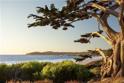 Impressionen aus Carmel by the Sea